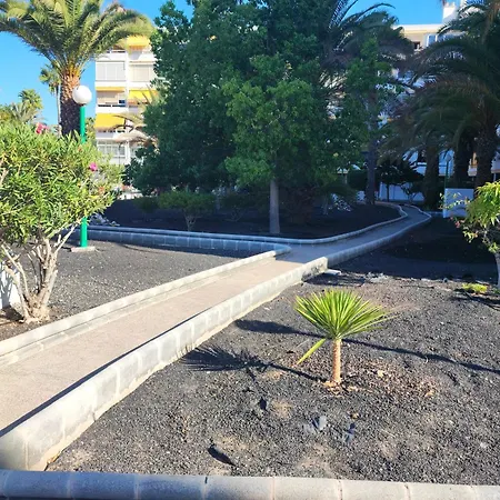 Cozy Near The Dunes Lägenhet