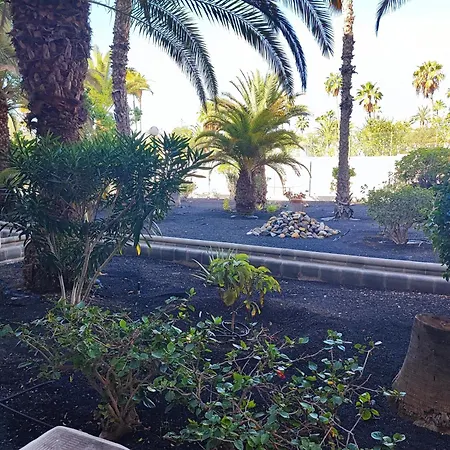 Lägenhet Cozy Near The Dunes